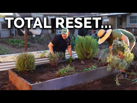 Ripping Out The Herb Bed...AGAIN 🙄