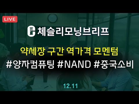 [체슬리모닝브리프] 약세장구간 역가격 모멘텀. 구글 양자컴퓨팅 칩 공개. 낸드 업황. 중국소비 [24/12/11]