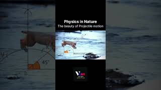 Discover the elegance of Physics in Nature through the Graceful arc of Projectile motion #vcankanpur