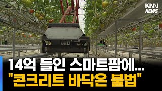 스마트팜 육성 외치지만...규제가 발목