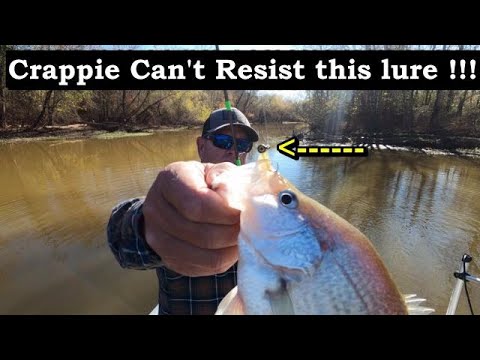 I CAUGHT Crappie After Crappie with THIS Lure!