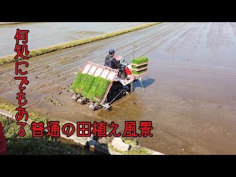 田植え！苗送るんジャーで楽々補給！Rice planting