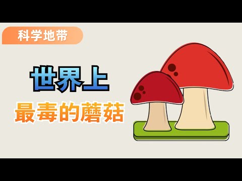 The ten most poisonous mushrooms in the world cause fatal damage. How many mushrooms have you seen