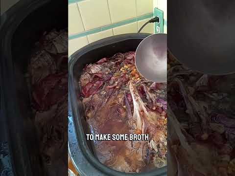 Turkey & Broth with the XJose POV Magnetic Neck Mount in My TikTok Shop