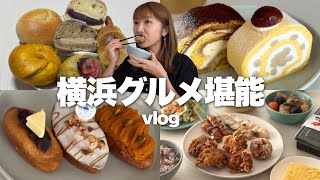 このロールケーキ美味しすぎる…！激うまからあげも見つけた横浜グルメを堪能する日々【vlog】