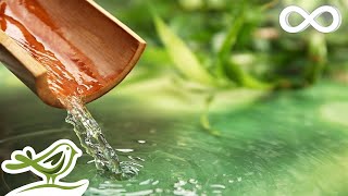 Bamboo Water Fountain and Calming Piano Music