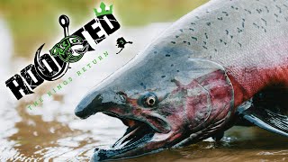 Addicted Alaska 3 - Alaskan King Salmon Fishing (Full Movie)