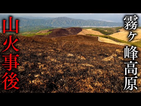 Kirigamine Highland after the fire, walking to the top of Mt. Kurumayama.