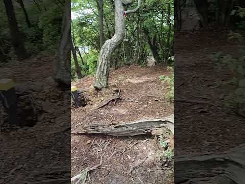 【山頂シリーズ】丹波篠山　水山