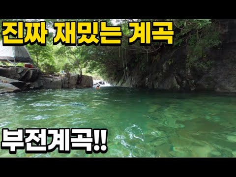 #54 [귀촌 브이로그] 추천하는 계곡, 부전계곡!