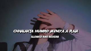 Chhalakata Hamro Jawaniya (Slowed/Reverb) Song || Bhojpuri Raja Super Hit Slowed Bhojpuri Song