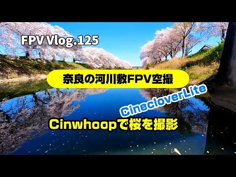 FPV Vlog.125 奈良の河川敷で桜をFPV撮影