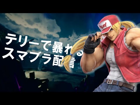 【参加型&オンライン】テリー・ボガード強化月間【スマブラSP 】