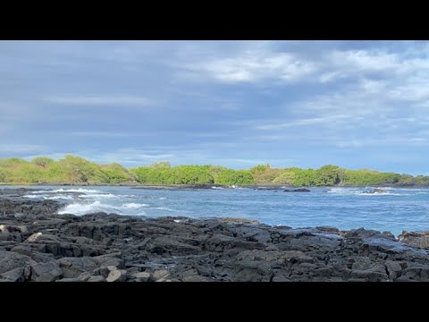 Hawaii Beach 🏖