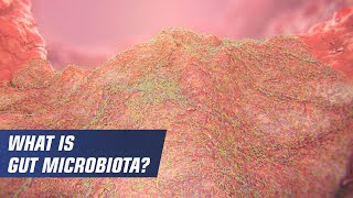 What is gut microbiota?