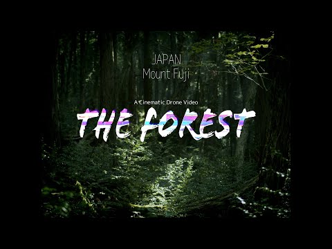 THE FOREST | Cinematic Drone - by Megumi Yagimoto