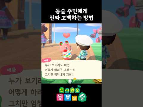 동숲 주민들에게 고백하는 방법?! (사랑해 노래 아님)