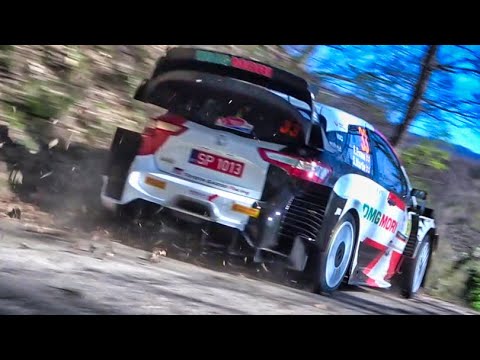 WRC Croatia Rally 2021 | SHAKEDOWN