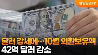 달러 강세에…10월 외환보유액 42억 달러 감소 / 연합뉴스TV (YonhapnewsTV)