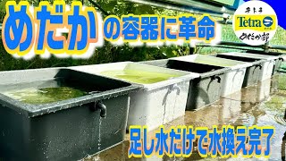 【めだか】足し水だけで水換えが完了するメダカ容器！（テトラのじょうろでキレイメダカ鉢の新しい使い方！水換え革命！稚魚の育成にも！）