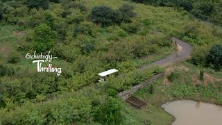 Vandaloor Zoological Park | Travel with kids | Wildlife Tourism - TAMIL NADU TOURISM