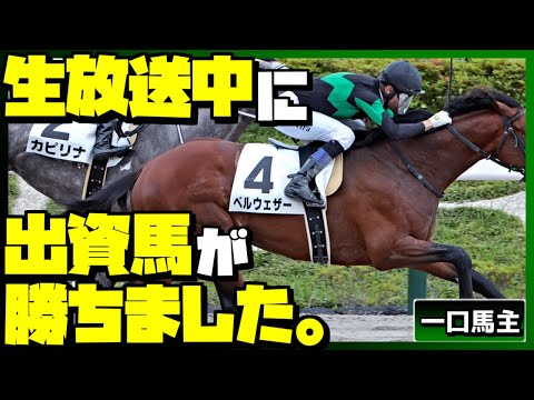 【競馬】生放送中に一口馬主の出資馬ベルウェザーが出走して勝ってくれました！【生放送切り抜き】