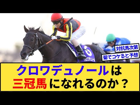 【競馬】クロワデュノール、ガチで三冠馬になりそうじゃない？