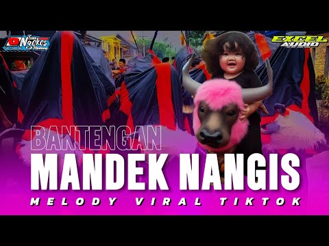 DJ BANTENGAN || MANDEK NANGIS || GEDRUK PINDO EXCEL AUDIO from ALFARIZQI PRODUCTION