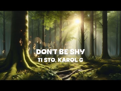 Tiësto, Karol G - Don't Be Shy (Lyrics)