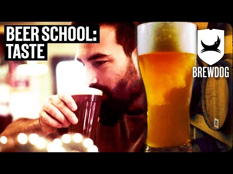 What To Look Out For When Tasting Beer | Beer School | BrewDog