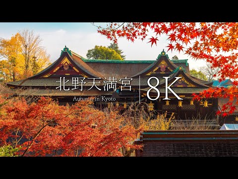 [God of learning] Visit the maple garden at Kitano Tenmangu Shrine - KYOTO in 8K