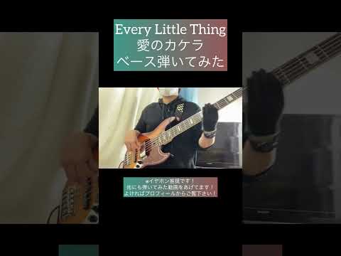 愛のカケラ / Every Little Thing 【ベース弾いてみた】 #shorts #ベース #ベース弾いてみた #bass #basscover