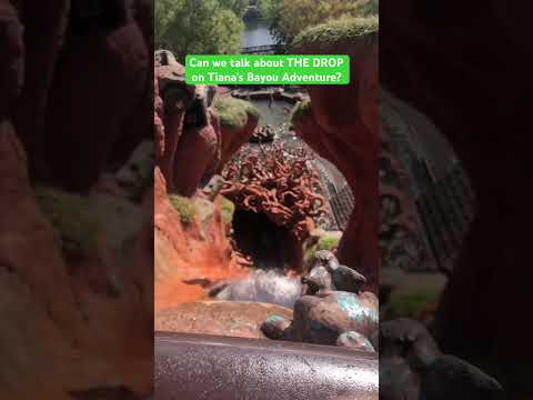 The Drop On Tiana’s Bayou Adventure #disneyimagineering #disneyworld