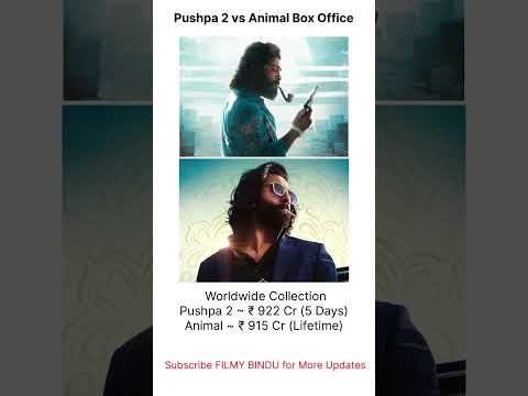 Pushpa 2 vs Animal Movie Comparison Worldwide Collection Box office#Pushpa2#Animal#AlluArjun#Ranbir￼