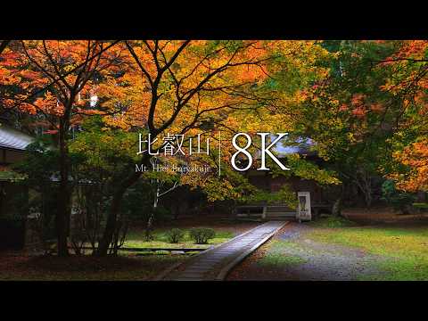 Visiting Mt. Hiei in autumn at Enryakuji Temple - JAPAN in 8K