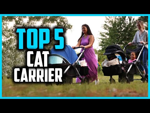 ✅Top 5 Best Cat Carrier For Road Trips Is Crash Test Certified in 2024