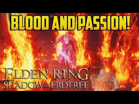 A LION, A HIPPO AND A CHEAT! Elden Ring DLC Solo Melee Run (#3)