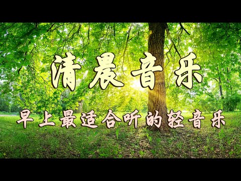 早晨音樂 🎶 大自然清澈,美妙的音樂 - 每天調心洗滌心性-美妙的音樂 - 純鋼琴輕音樂 - 轻松的钢琴音乐