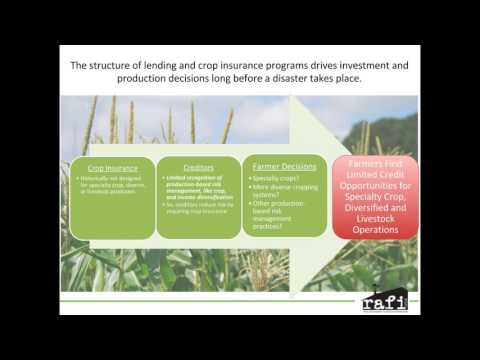 Should Crop Insurance Be Part of Your Farm Risk Management Plan?