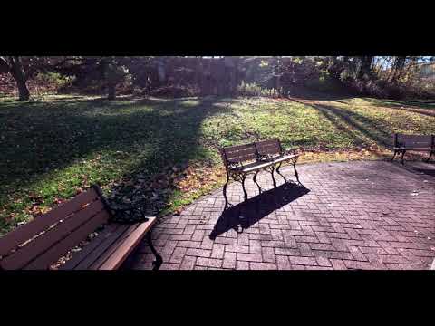 (4k) Congress Park In Autumn 2 Saratoga Springs, NY Walk About Nov. 8th 2022 RJWheatonJr video # 109