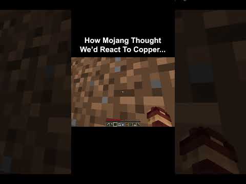 How Mojang Thought We'd React To Copper...