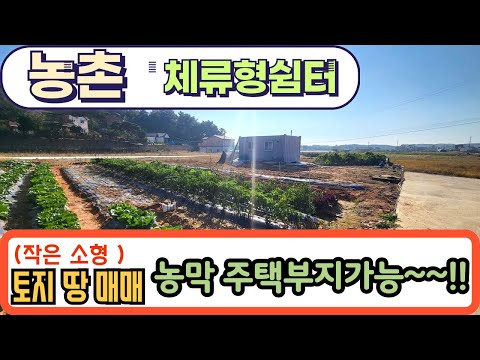 (NO. 1129 ) 강추~!! 소형 100평대  대부도 농촌체류형쉼터 농막 토지 매매 / 대부도 부동산