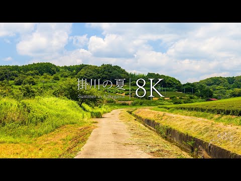 [Kakegawa City] 7 spectacular views of Shizuoka that you must visit - JAPAN in 8K