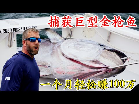 捕魚生死鬥第13季全集，太猛了，捕獲巨型金槍魚竟然這麽簡單，平均每天釣一條，一個月賺了上百萬！紀錄片