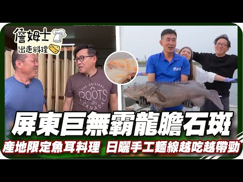 《跟著姆士出遊去》屏東巨無霸龍膽石斑 產地限定魚耳朶與日曬手工麵線越吃越帶勁