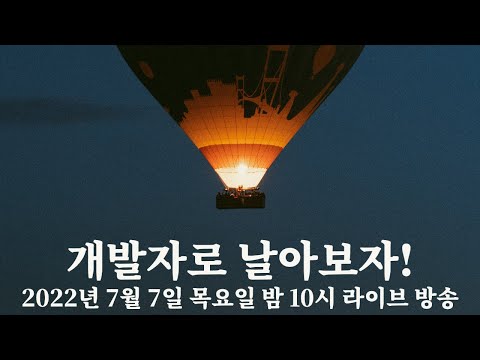 [라이브] 개발자로 날아보자 | 너의 멘토가 되어줄게