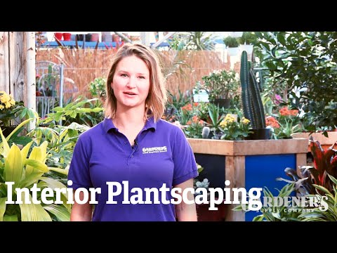 Interior Plantscaping