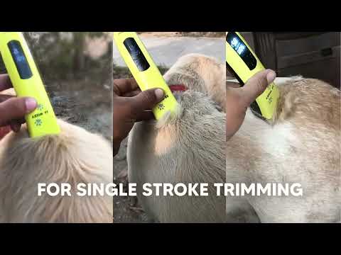 LetsShave's New EZ-WIZZY Pet Trimmer for Dogs & Cats is here! #groomingdog #pets