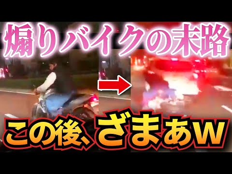 【ドラレコ】イキった煽りバイクにきっちり天罰が下りメシウマすぎるw衝撃ドラレコ映像41連発！迷惑運転まとめ【作業用】【交通安全、危険予知トレーニング】