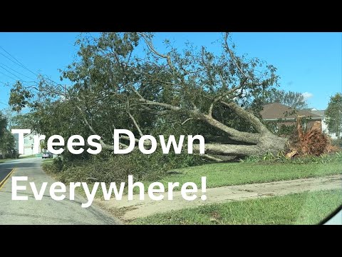 After Hurricane Helene Trees Down Everywhere!